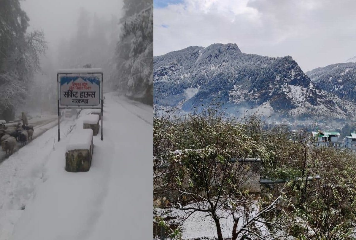 winter season first snowfall in shimla kufri narkanda and manali