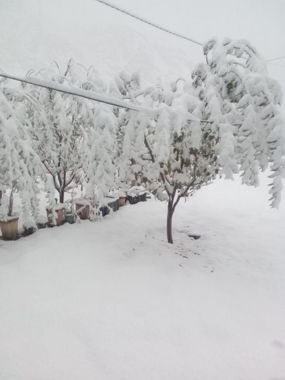 Weather Forecast Today Update in Uttarakhand News: snowfall in kedarnath and badrinath hilly areas photos