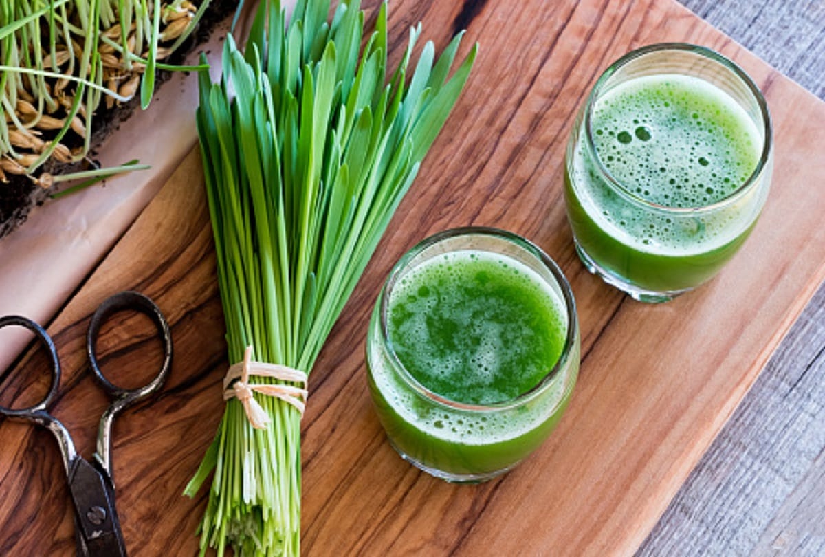 Health benefits of wheatgrass juice in hindi