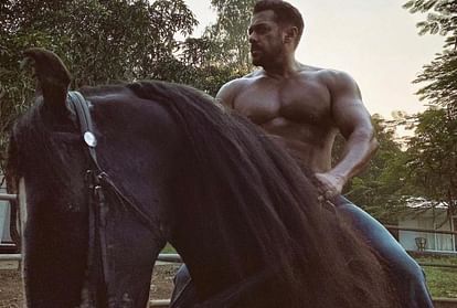 Rajasthan woman loses 12 Lakhs to fraudsters, who offered her to sell horse once owned by Salman Khan