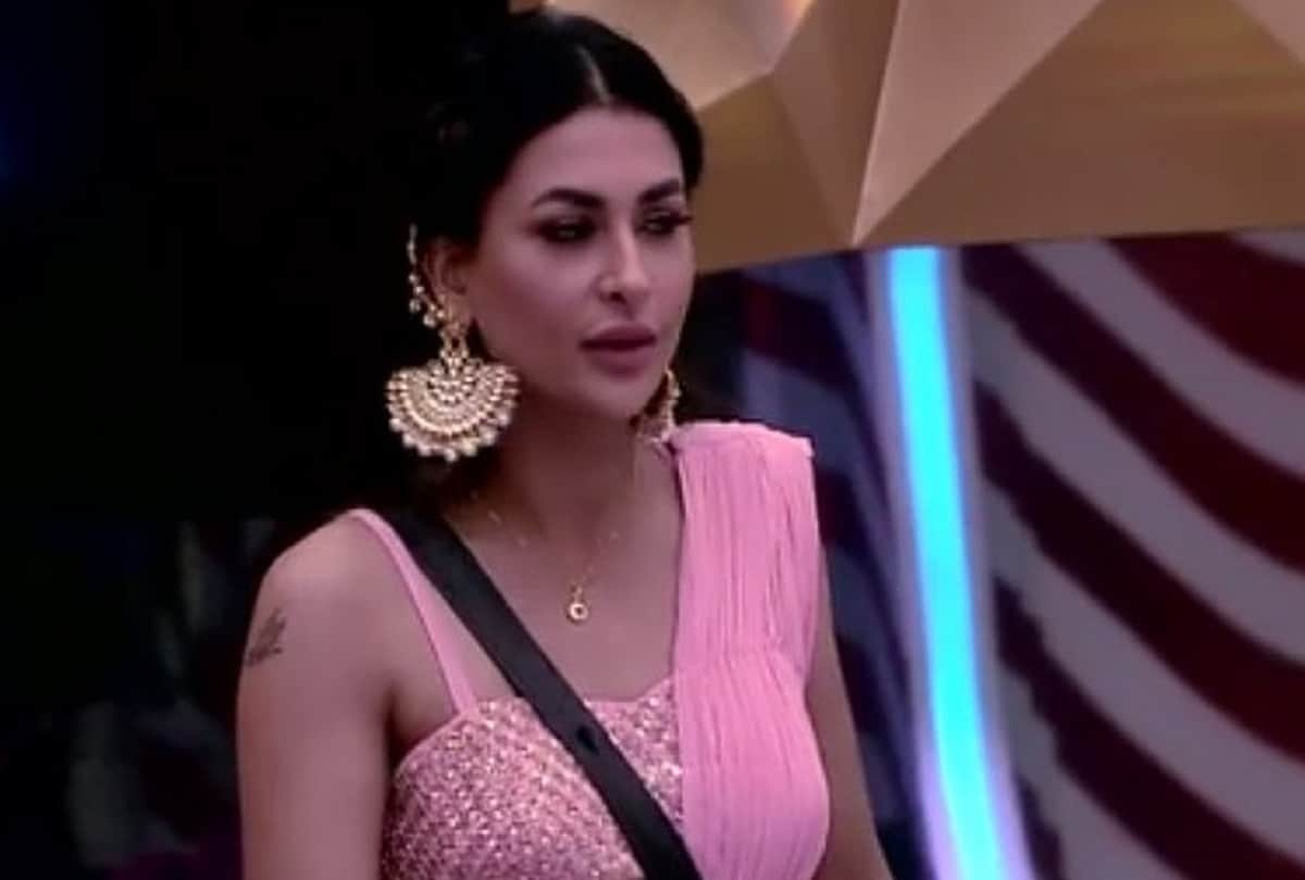 Bigg boss 14 contestant pavitra punia says she is not comfortable shooting love making scenes