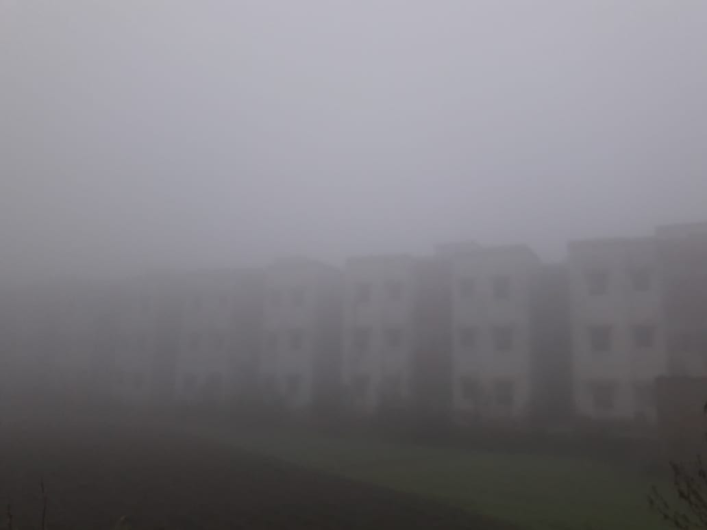 fog weather