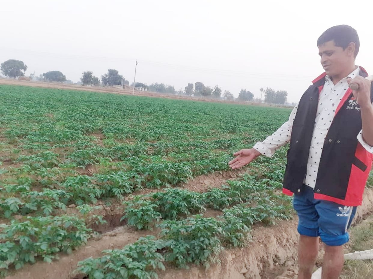 Prices of potato touching sky and farmers' pockets empty