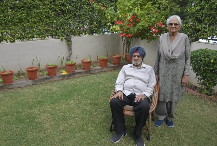 Motivational Kitchen gardening story of a elderly woman of Chandigarh