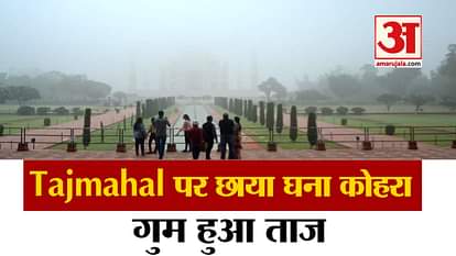 Fog In Agra: Tajmahal Tourist Not Seen Taj