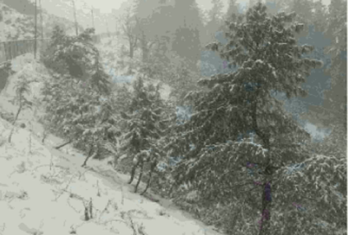 Weather Forecast Today Update in Uttarakhand News: snowfall and rain expected in many areas
