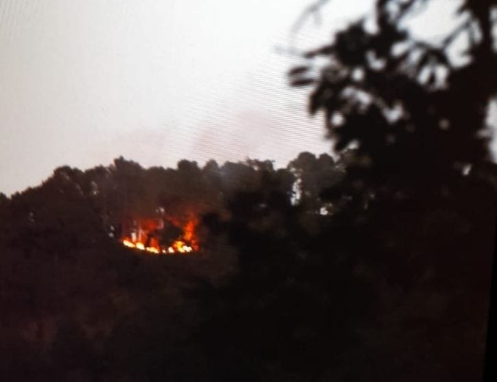 Fire in the forest of Patinia