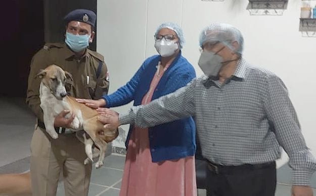 Dog Rocky left for London after police farewell party