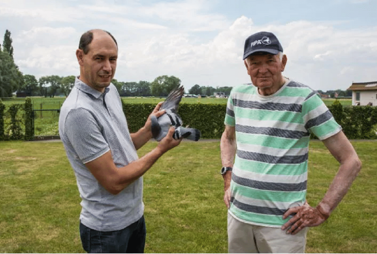 most expensive racing pigeon new kim which was sold in 14 crores rupees