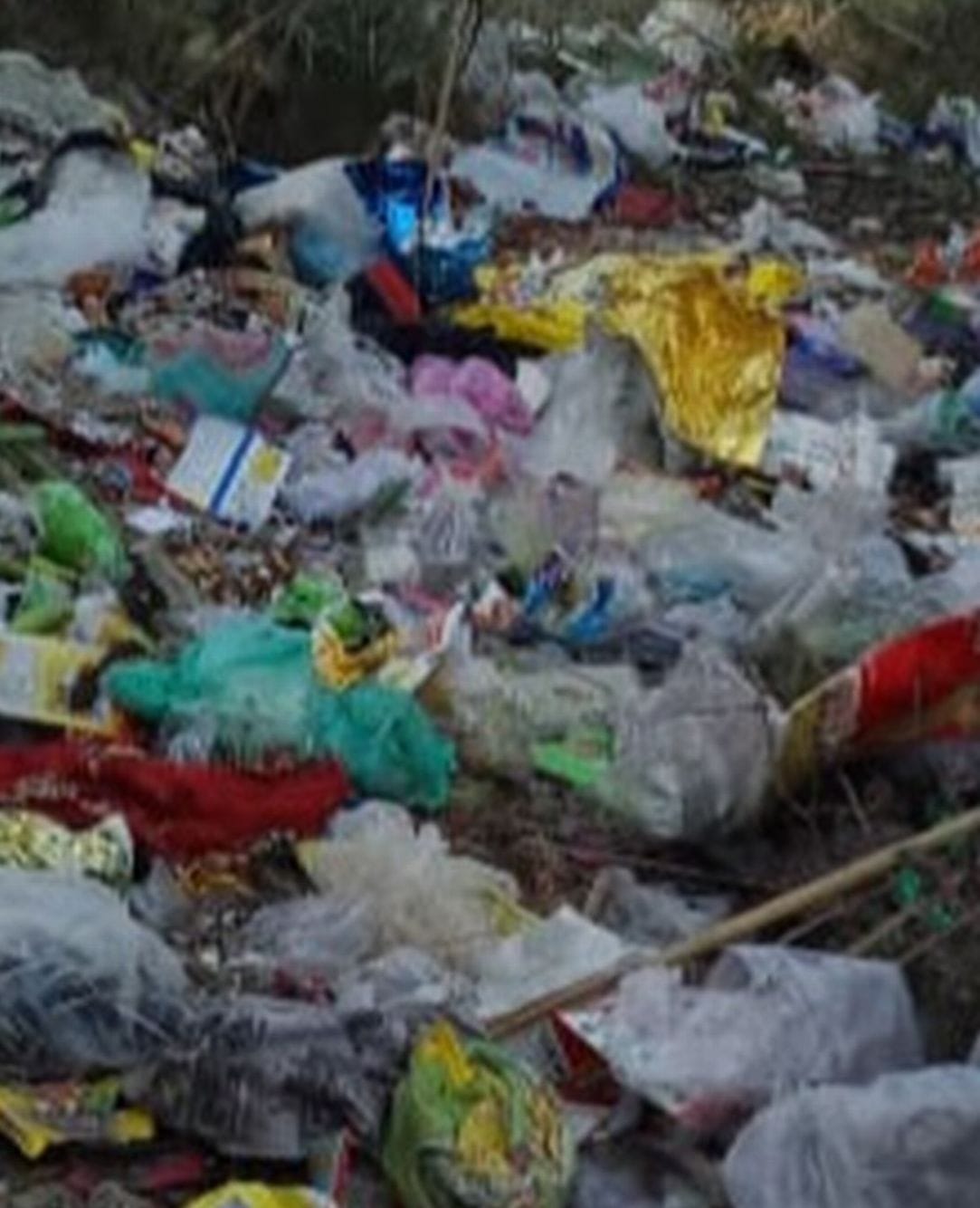 Due to non-availability of garbage vehicle