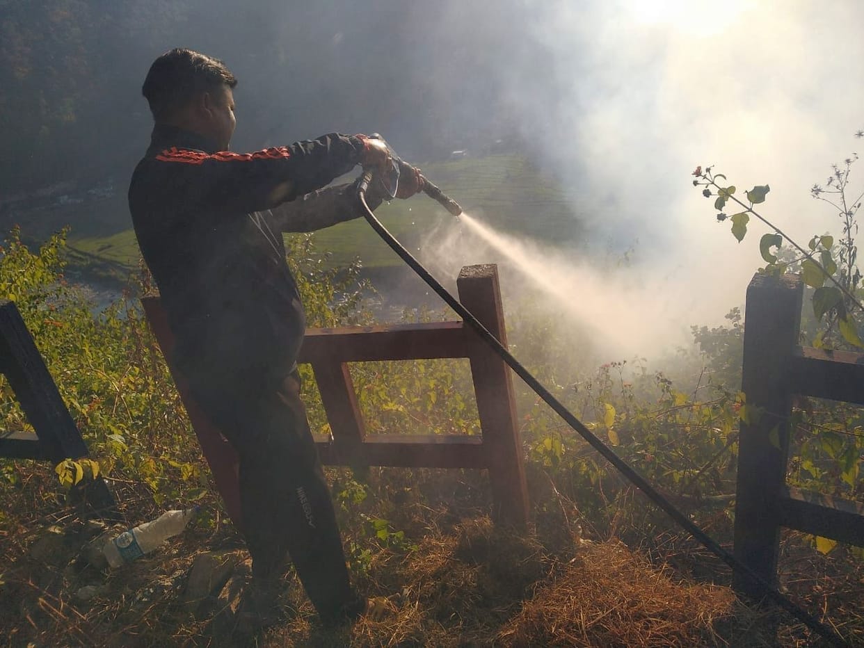 1.2 hectare forest land damage due to fire
