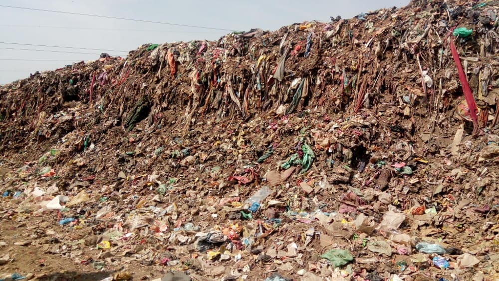 Litter burden increased during festivals, no system of disposal