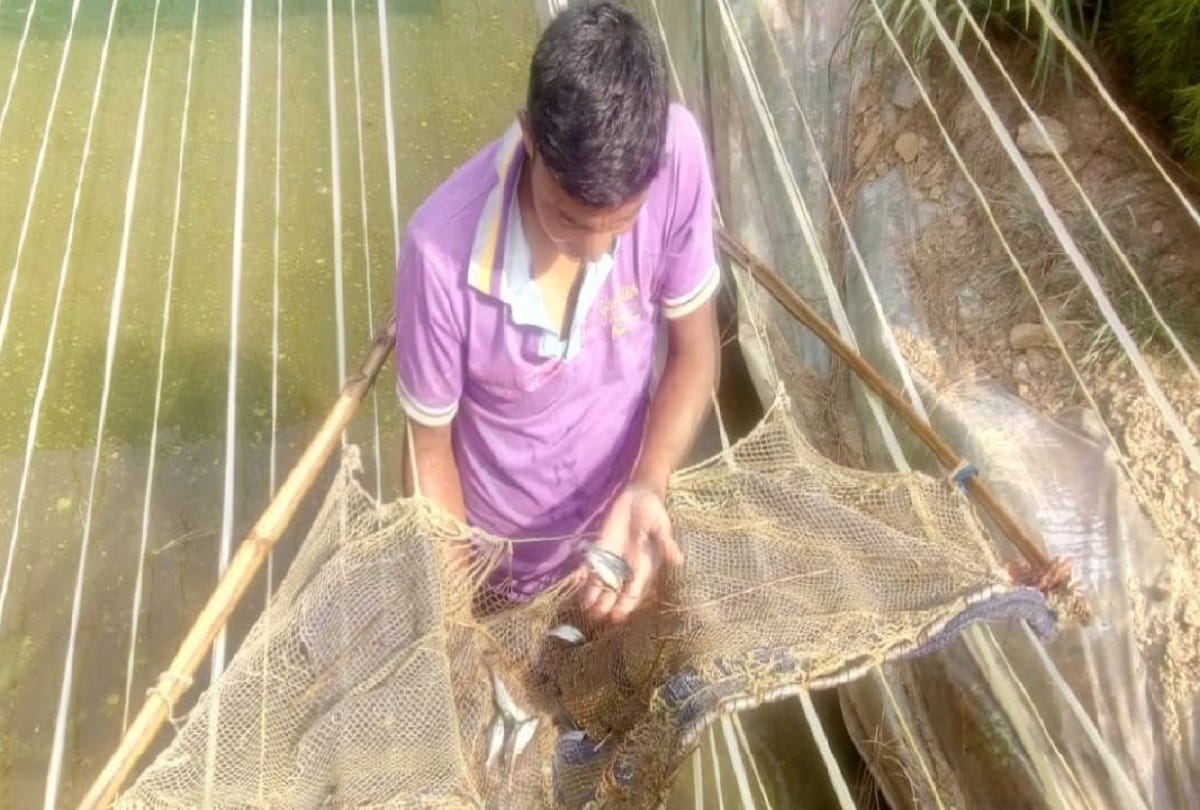 Fishermen will get help of Rs 3000 annually by UP goverment