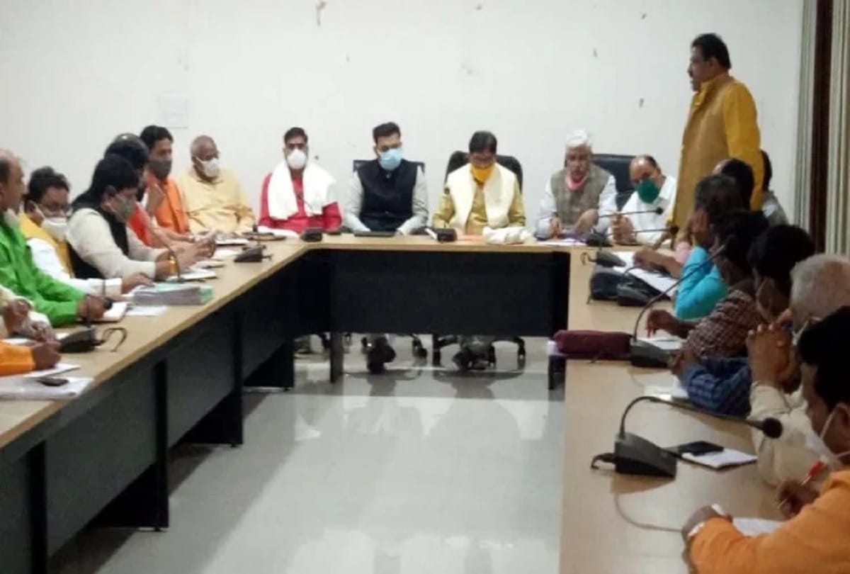 MLC Election