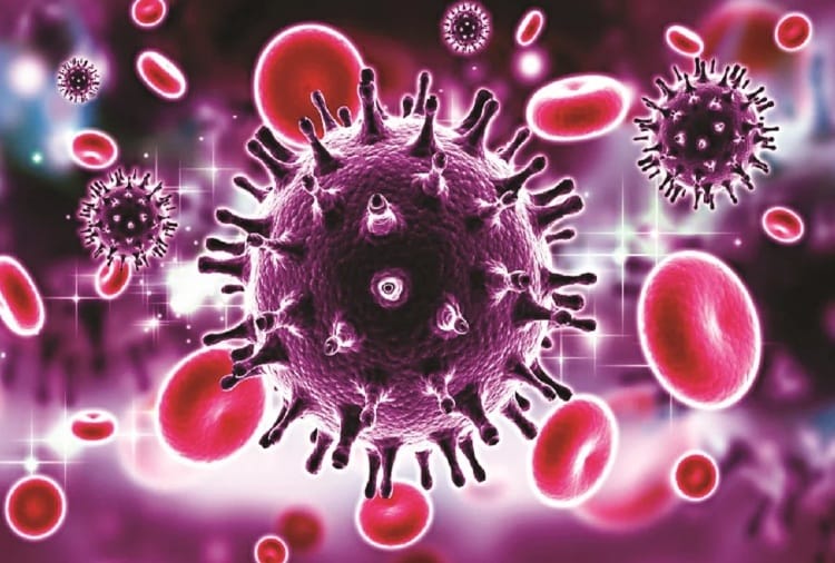 Punjab Corona Update : 802 fresh covid 19 cases reported in Punjab