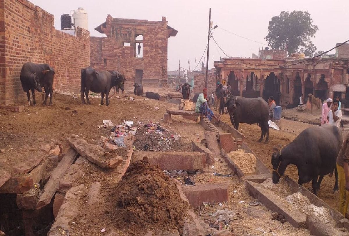 Rang Mahal Of Fatehpur Sikri Birthplace Of Jahangir In Bad Condition