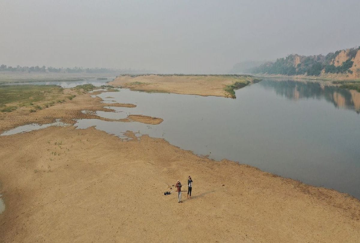 Crocodiles And Dolphins Increased In Chambal River