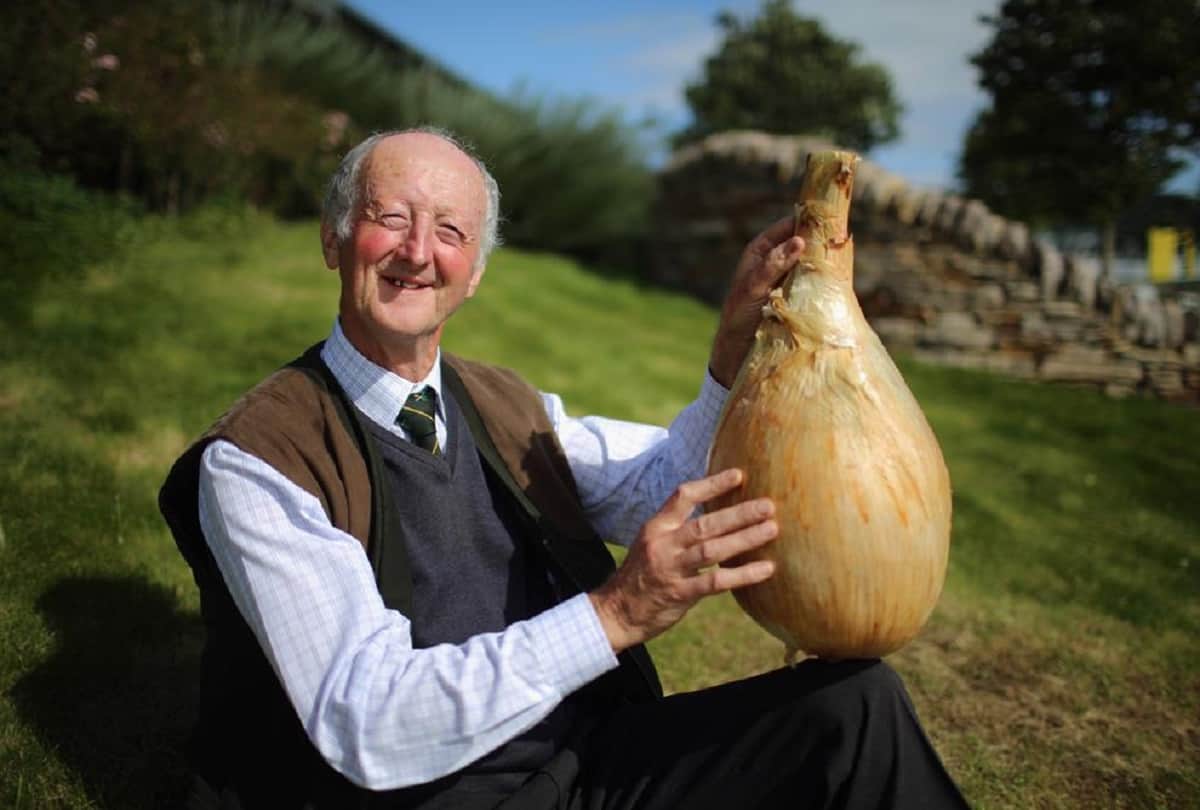 guinness world record day most weird and strange records in the world