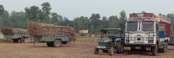 cane farmers problems