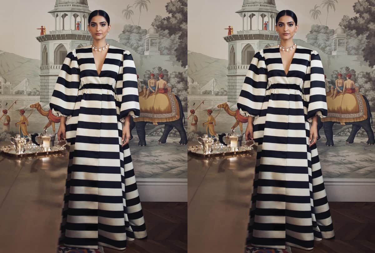 sonam kapoor wear black and white dress trollers compare with zebra crossing