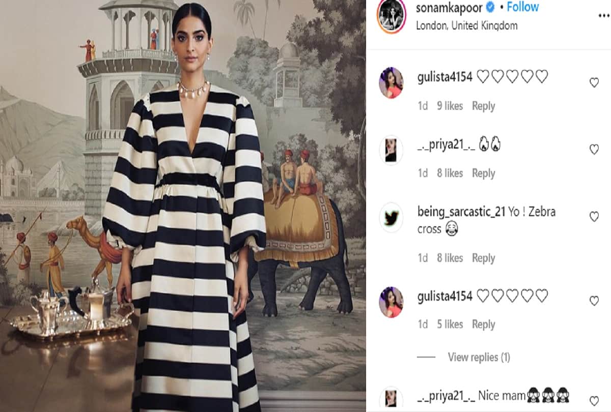sonam kapoor wear black and white dress trollers compare with zebra crossing
