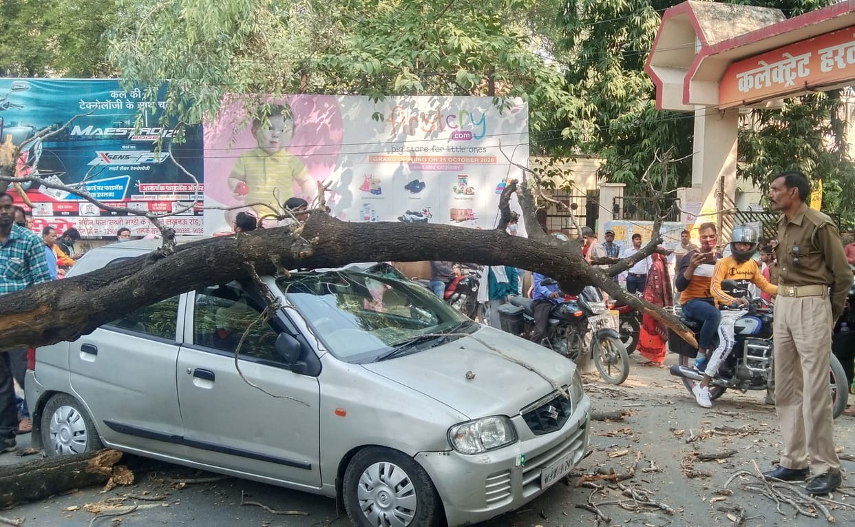 The tree fell on the car, the car rider left narrowly