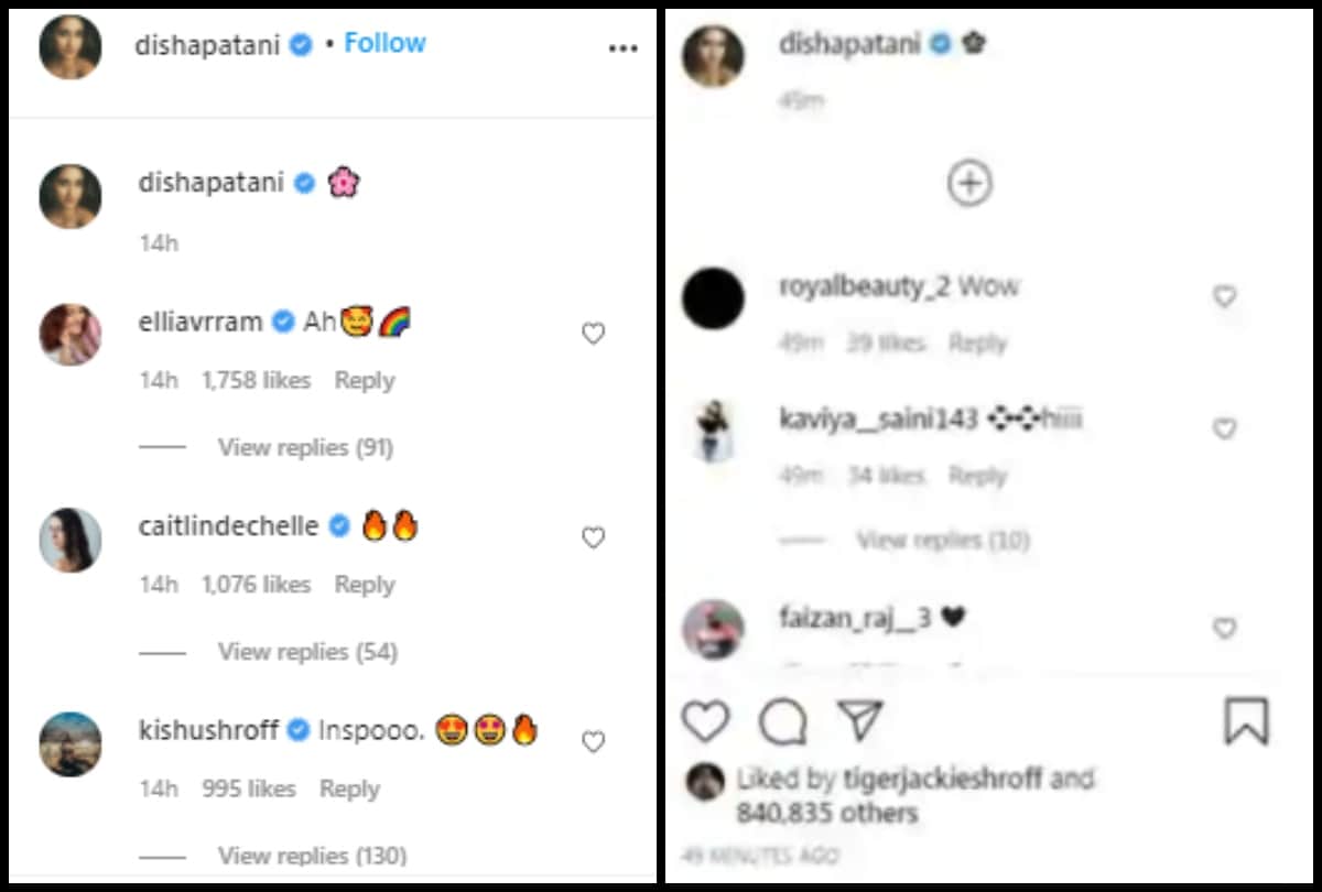 Disha Patani swimsuit picture from Maldives Tiger Shroff and Krishna Shroff reaction