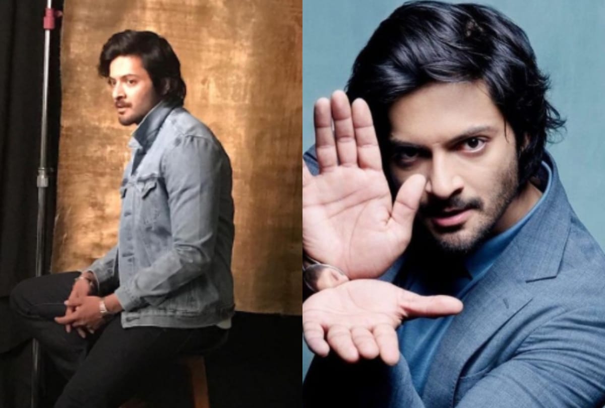 ali fazal know about him some interesting facts