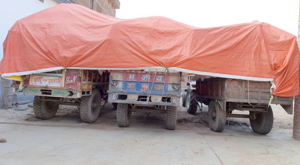 Sacks finished in pulses and oilseeds center, purchase stopped