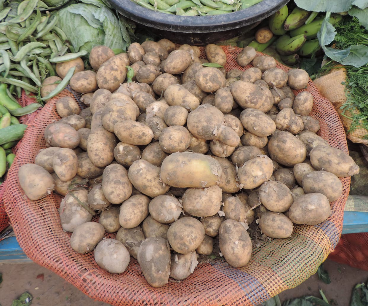 panjaab se aaya naya aaloo, 60 rupaye mein bika