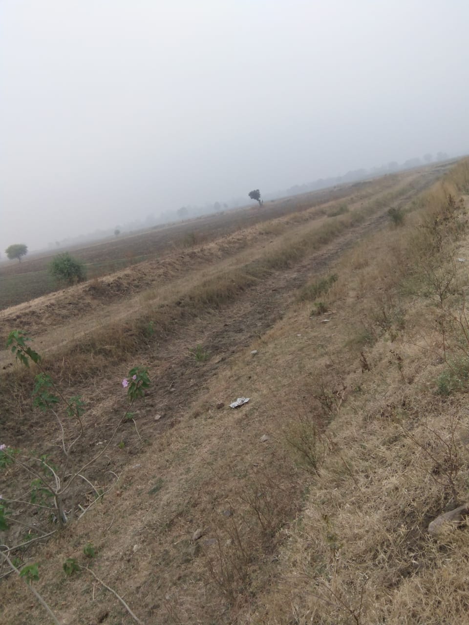 Farmer disturb for water problem