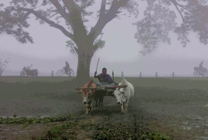 weather update weather forecase jammu delhi shimla haryana uttar pradesh uttrakhand weather report