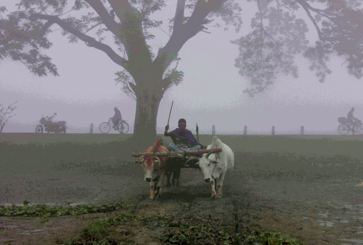 Weather Forecast Today Update in Delhi NCR News: Delhi weather update 20 november record coldest winter day of november month in last 13 years