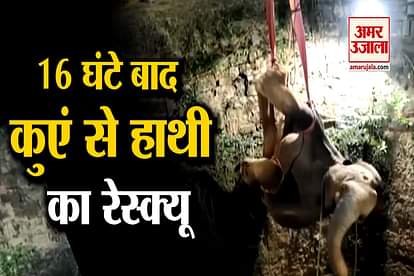 Baby Elephant Rescued From Well in Tamil Nadu’s Dharmapuri