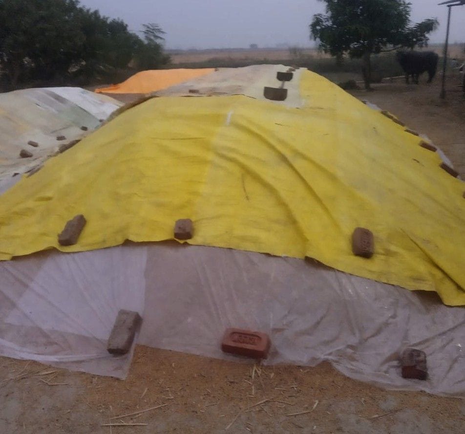 Rain has made farmers difficult, soaked paddy in field and khailan