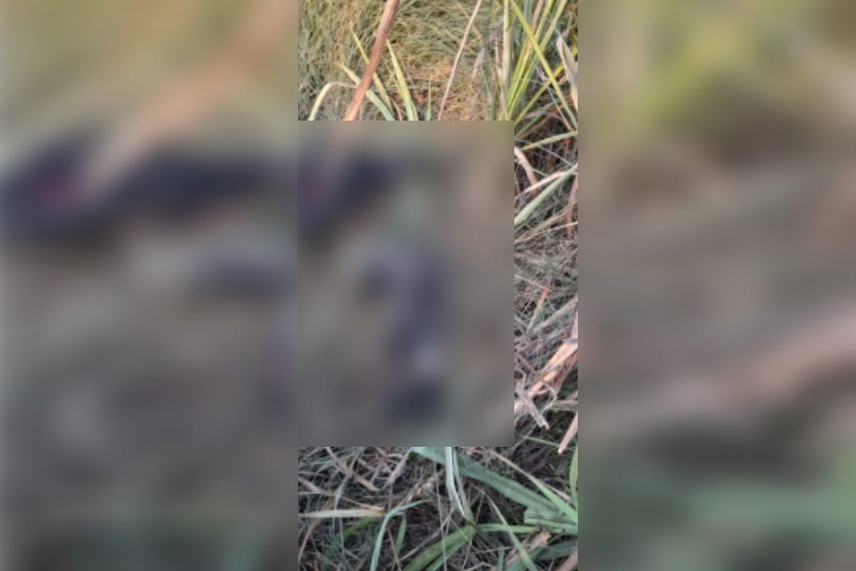 Youth killed in kinship in Talgaon area