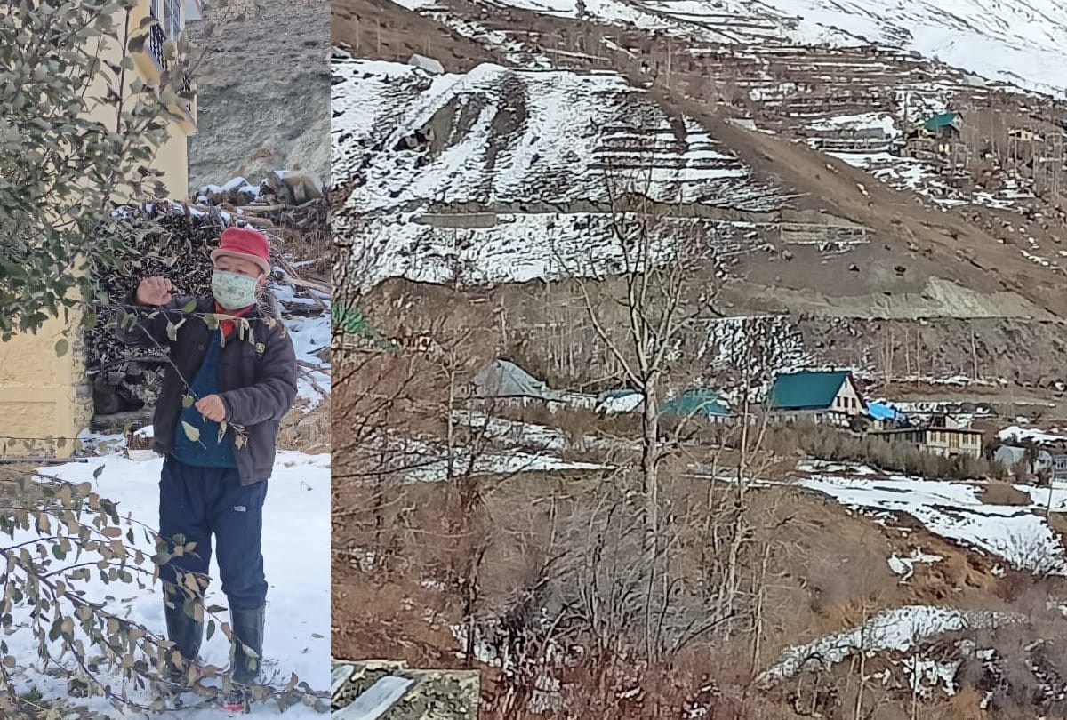  Himachal Coronavirus Covid 19 Today Latest News In Hindi: Except Bhushan Thakur all Villagers Tested Covid Positive  In Thorang Village Of Lahul