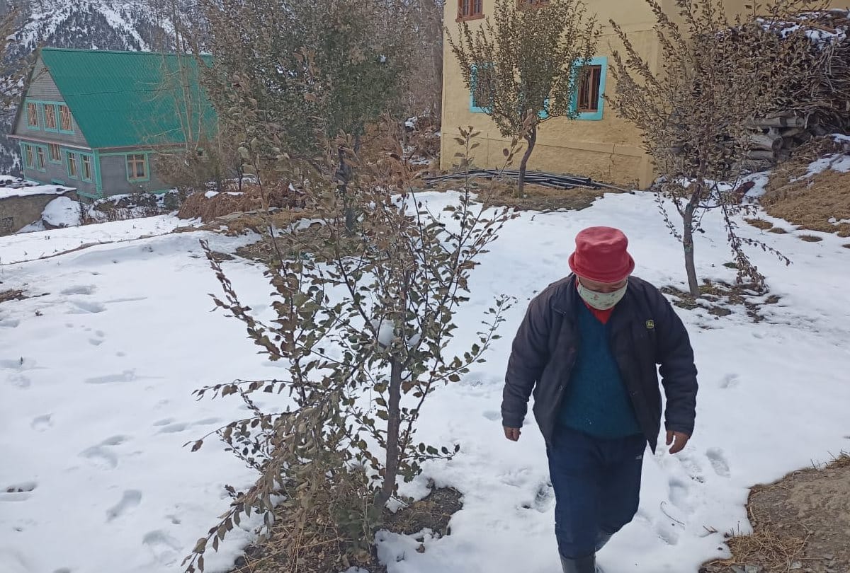  Himachal Coronavirus Covid 19 Today Latest News In Hindi: Except Bhushan Thakur all Villagers Tested Covid Positive  In Thorang Village Of Lahul