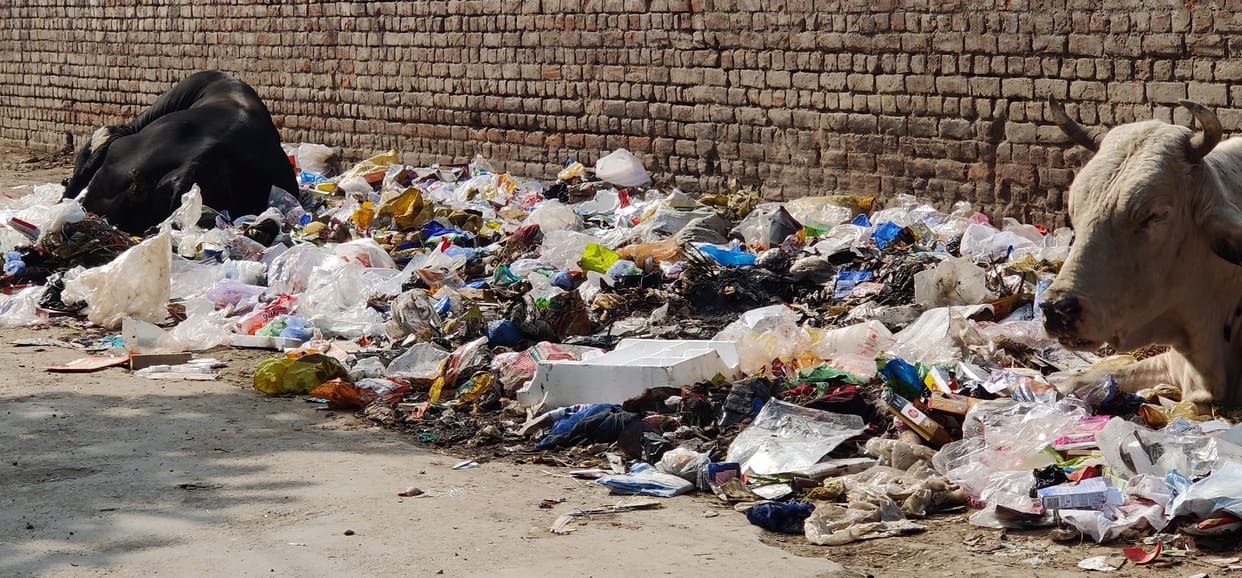 Compost from garbage in files for two years