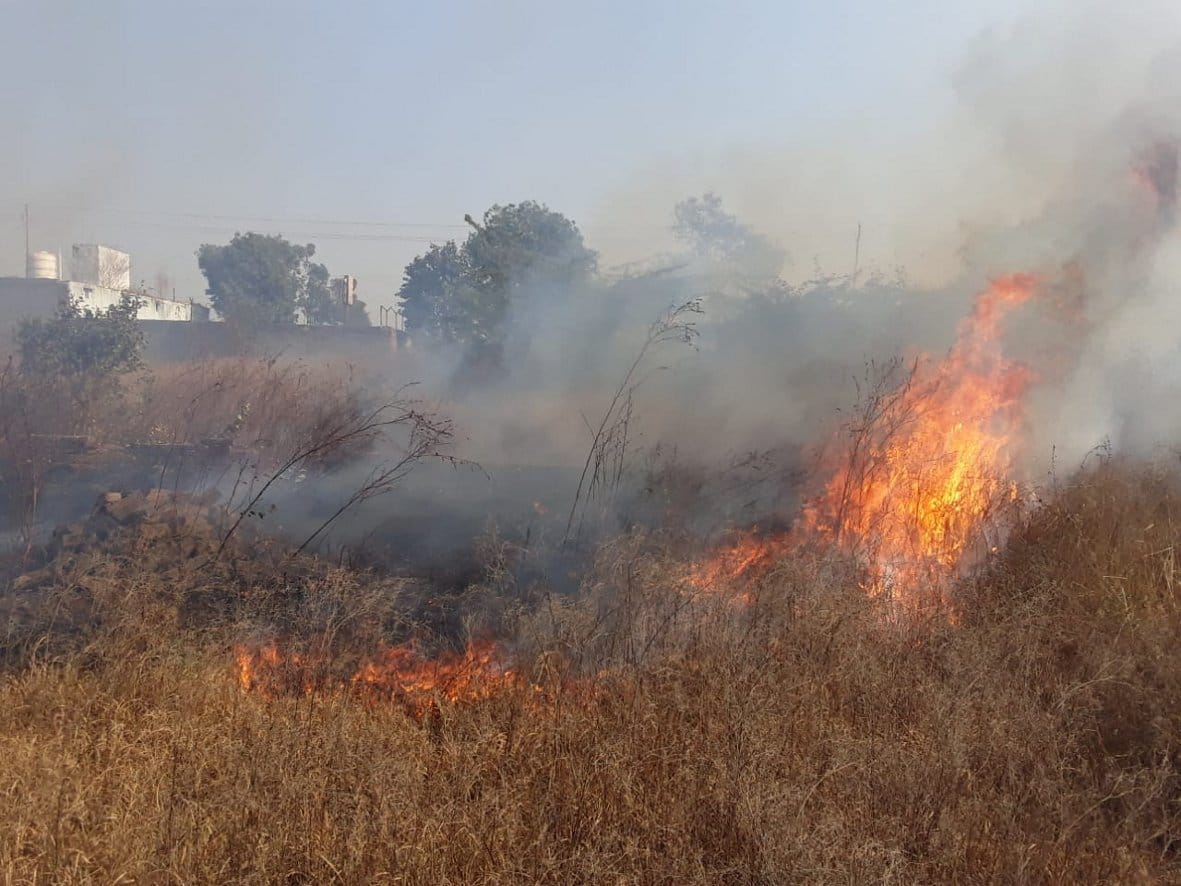 Smoke spread from fire in bushes near DM residence