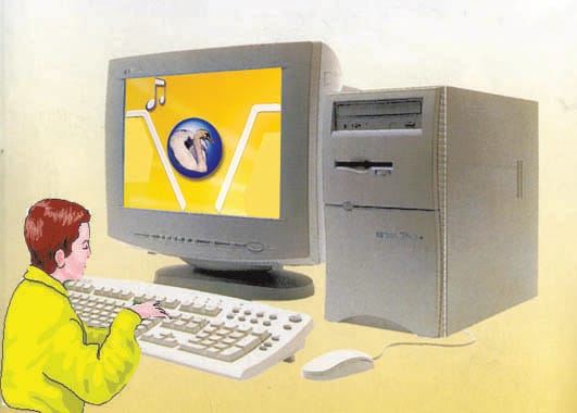 cyber crime