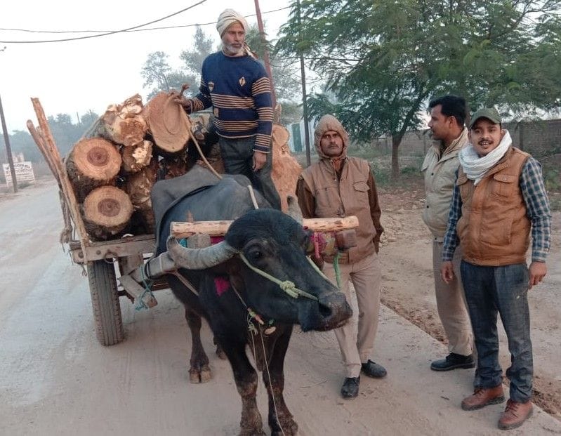 Hathras: Two vehicles loaded with illegal wood, fined