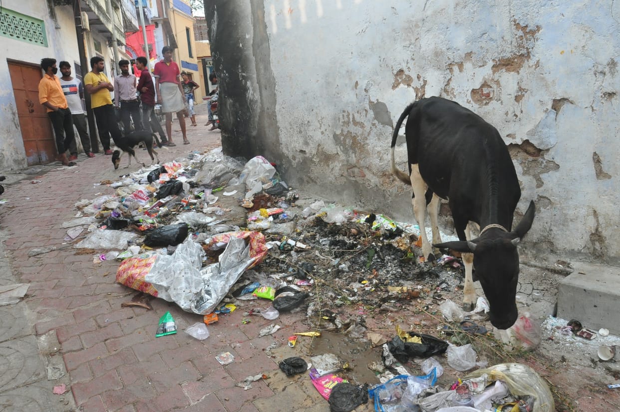 After festival garbage in mahanagar