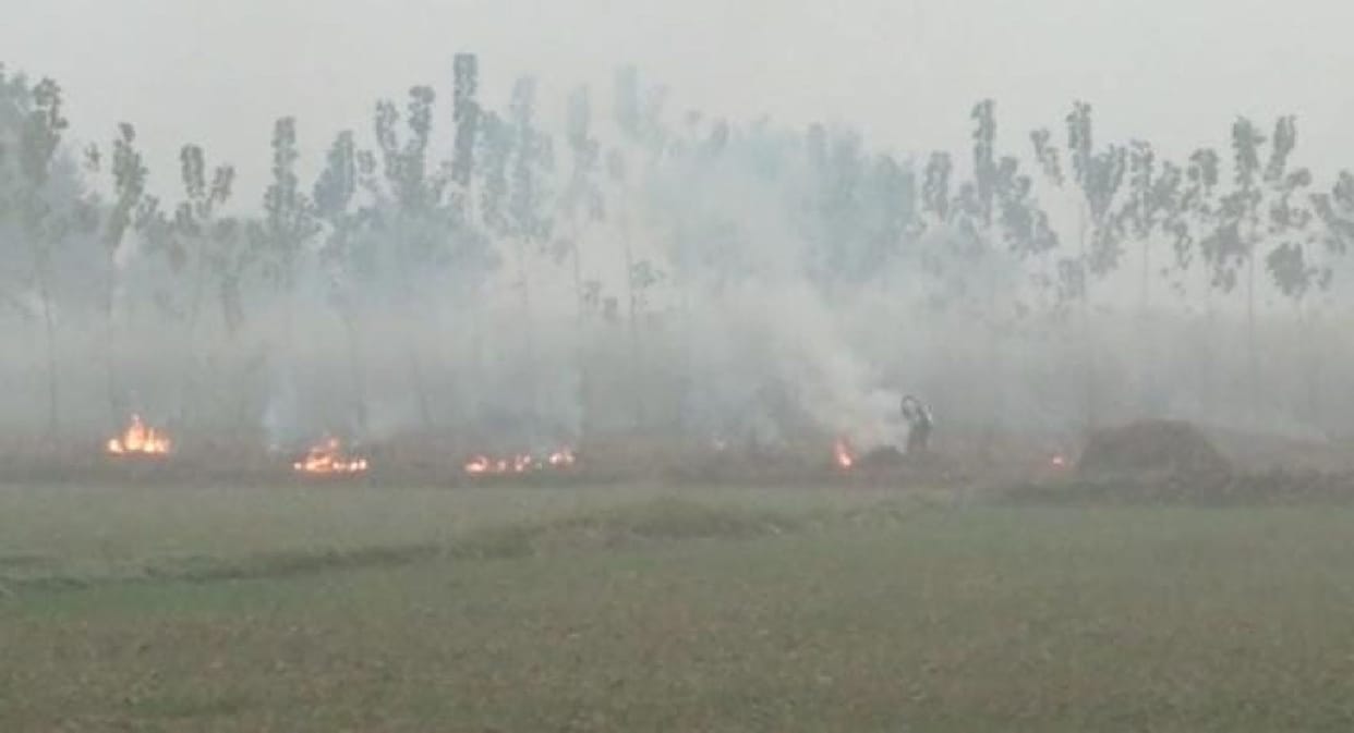 Farmers burn stubble in the fields