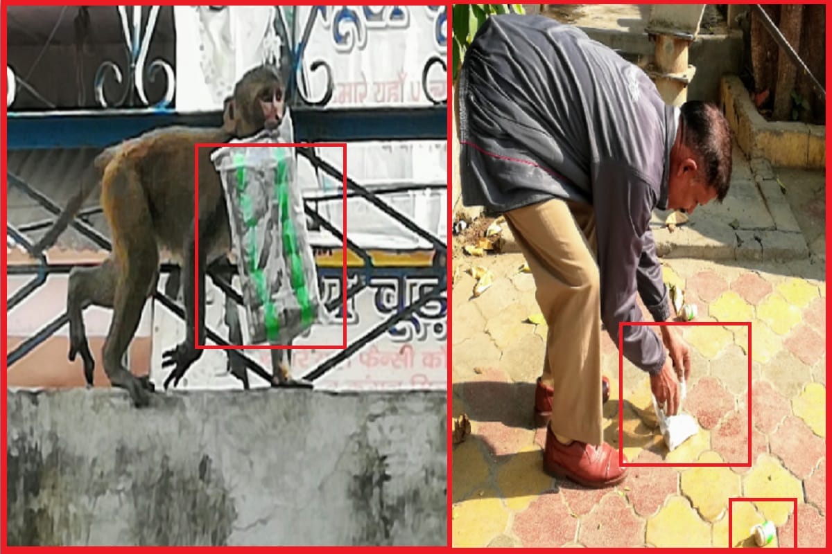A monkey reached the police station with a packet of bombs in Mawana of Meerut