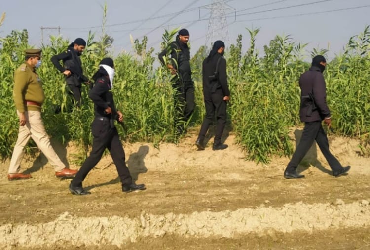 Search operation at Bamial sector in Pathankot after Nagrota encounter