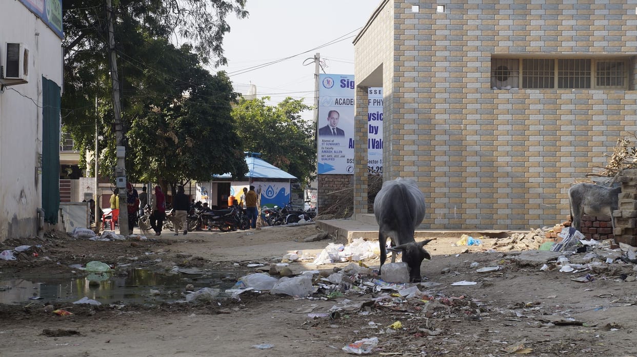 city's cleaning cystem not good