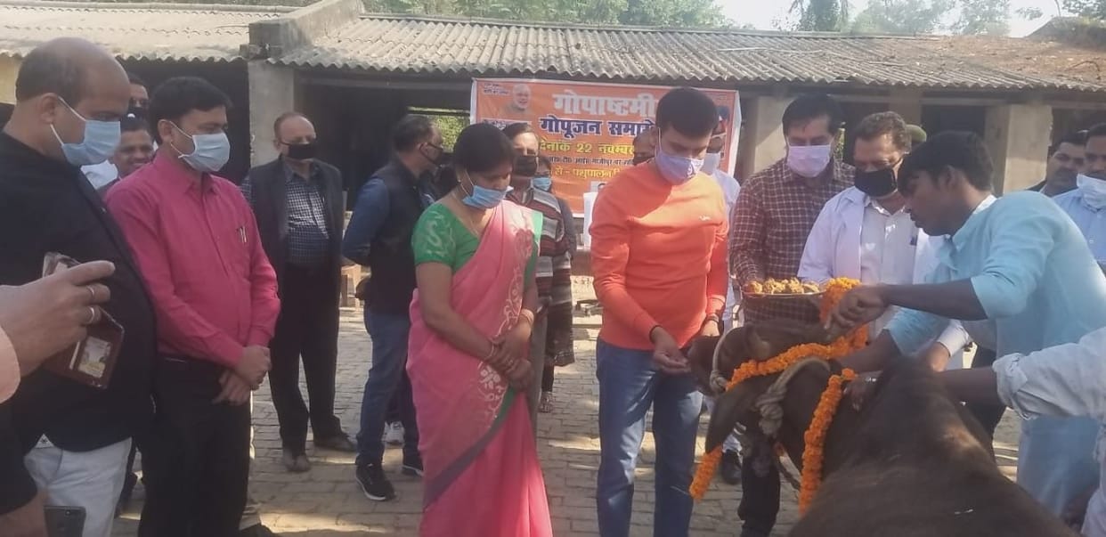 Gopashtami: DM applied Gau Mata's Charan Raja with forehead