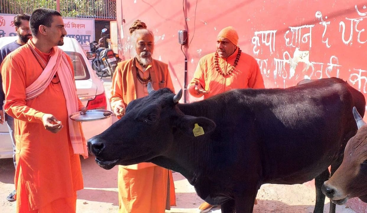 Gopashtami celebrated devoutly in Panchpuri