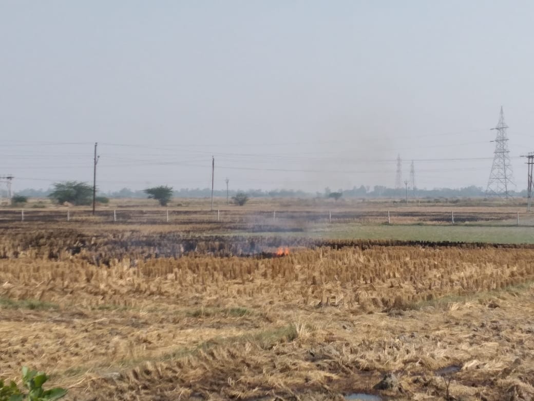 Farmers burn stubble in the field